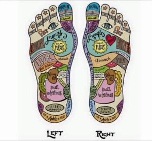 20201DBC-1F18-49AA-8836-FA248D4AE884